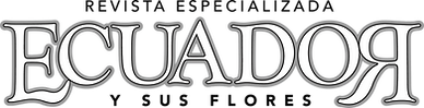 Logo final E Y F.png